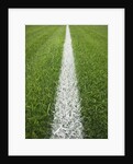 Painted Line on Athletic Field by Anonymous