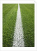Painted Line on Athletic Field by Anonymous