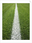 Painted Line on Athletic Field by Anonymous