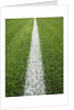 Painted Line on Athletic Field by Anonymous