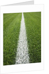 Painted Line on Athletic Field by Anonymous