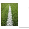Painted Line on Athletic Field by Anonymous