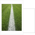 Painted Line on Athletic Field by Anonymous