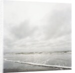 Ruby Beach in Olympic National Park by Anonymous