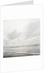 Ruby Beach in Olympic National Park by Anonymous