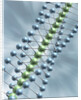 Chain of Molecules by Anonymous