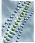 Chain of Molecules by Anonymous