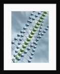 Chain of Molecules by Anonymous