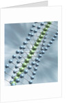 Chain of Molecules by Anonymous