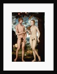 Adam and Eve by Lucas Cranach the Elder