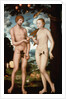 Adam and Eve by Lucas Cranach the Elder