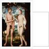 Adam and Eve by Lucas Cranach the Elder