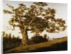 The Charter Oak by Charles de Wolfe Brownell