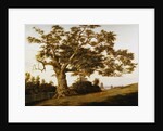 The Charter Oak by Charles de Wolfe Brownell
