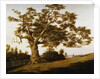 The Charter Oak by Charles de Wolfe Brownell