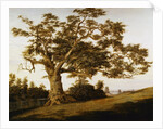 The Charter Oak by Charles de Wolfe Brownell