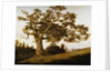 The Charter Oak by Charles de Wolfe Brownell