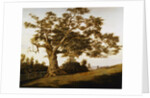 The Charter Oak by Charles de Wolfe Brownell