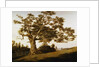 The Charter Oak by Charles de Wolfe Brownell