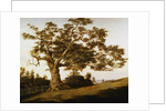 The Charter Oak by Charles de Wolfe Brownell