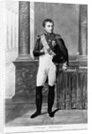 Full-Length Portrait of Napoleon Bonaparte by Anonymous