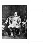 Napoleon at Fontainebleau by Paul de la Roche