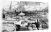 Sailing Ships at New Orleans Levees by Anonymous