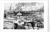Sailing Ships at New Orleans Levees by Anonymous
