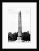Cleopatra's Needle in Central Park by Anonymous