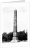 Cleopatra's Needle in Central Park by Anonymous