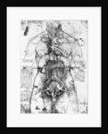 Drawing of an anatomical study by Leonardo da Vinci