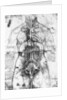 Drawing of an anatomical study by Leonardo da Vinci