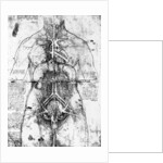 Drawing of an anatomical study by Leonardo da Vinci