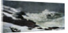 Winter Coast by Winslow Homer