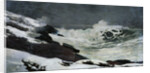 Winter Coast by Winslow Homer