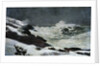 Winter Coast by Winslow Homer