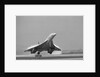 Concorde On First Takeoff From New York by Anonymous