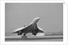 Concorde On First Takeoff From New York by Anonymous