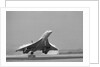 Concorde On First Takeoff From New York by Anonymous