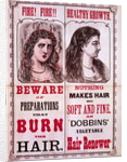 Poster For Dobbins' Hair Renewer by Anonymous