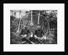 Early Bicyclists Taking a Break by Highwheelers