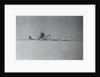 Hijackers Destroying Airplanes by Anonymous