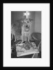 Sandy the Dog, from "Annie" by Anonymous