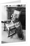 John F. Kennedy's Golf Bag by Anonymous