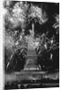 Fireworks at Statue of Liberty by Anonymous
