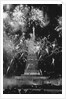 Fireworks at Statue of Liberty by Anonymous