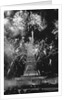 Fireworks at Statue of Liberty by Anonymous