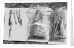 Syringes Washed Ashore on Staten Island by Anonymous