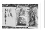 Syringes Washed Ashore on Staten Island by Anonymous