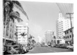 Collins Avenue from the South by Anonymous